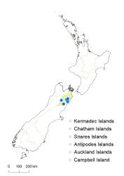 Veronica kellowiae distribution map based on databased records at AK, CHR & WELT.
 Image: K.Boardman © Landcare Research 2022 CC-BY 4.0
